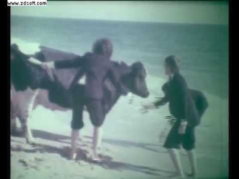Mollerussa video