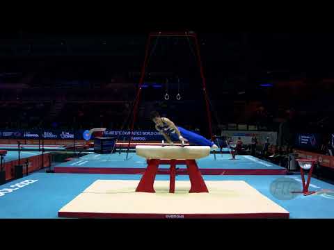DOI Ryosuke (JPN) - 2022 Artistic Worlds, Liverpool (GBR) - Qualifications Pommel Horse