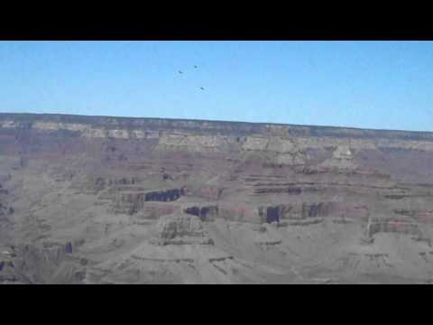 Condors Flying at the Grand Canyon 6.13.12