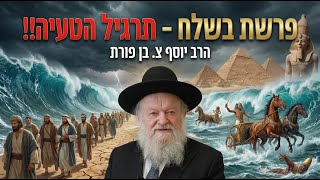 פרשת בשלח - תרגיל הטעיה | הרב יוסף צ. בן פורת - תשפ"ו (הרב יוסף צבי בן פורת) - התמונה מוצגת ישירות מתוך אתר האינטרנט יוטיוב. זכויות היוצרים בתמונה שייכות ליוצרה. קישור קרדיט למקור התוכן נמצא בתוך דף הסרטון