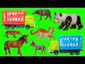 ANIMALS QUEUE RIDE FOR TRUCK Panda Cat Horse Zebra Lion Tiger Elephant Buffalo White Dog
