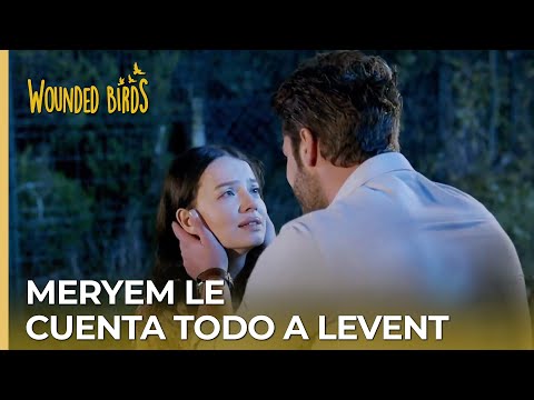 Meryem le cuenta todo a Levent | Omer Sueños Robados Capítulo 168