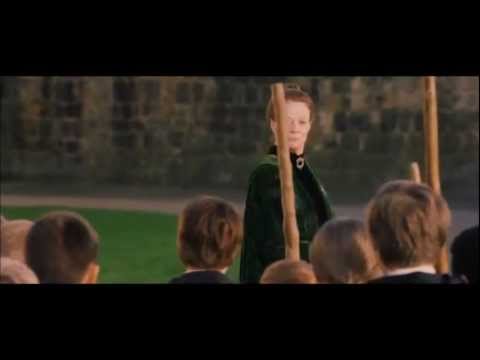 Harry Potter - must, mustn't, have to