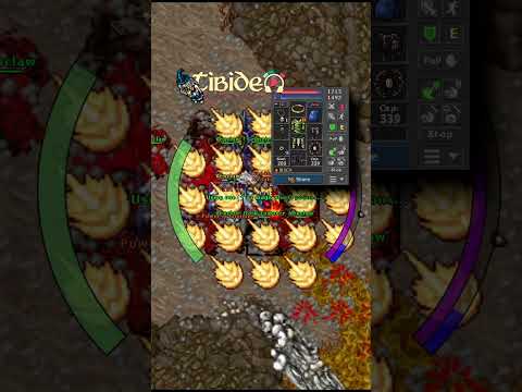 TIBIA / 350 ED VS VEXCLAW