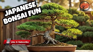 Playing With A Japanese White Pine Bonsai