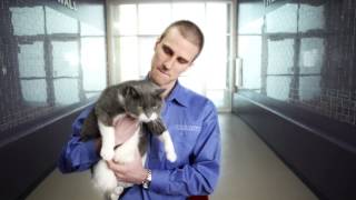 We're Everywhere... Except Your Lap