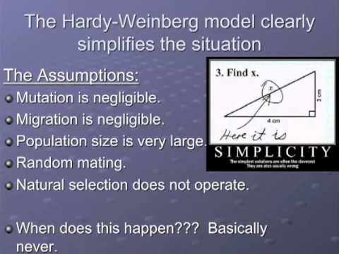 Population Genetics - Medium.m4v