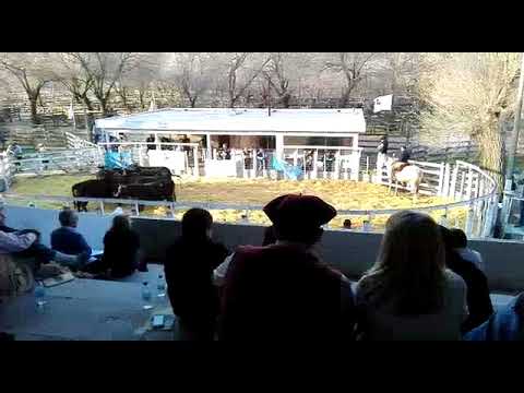 Remate Cabaña Don Alfredo 2018 - A -