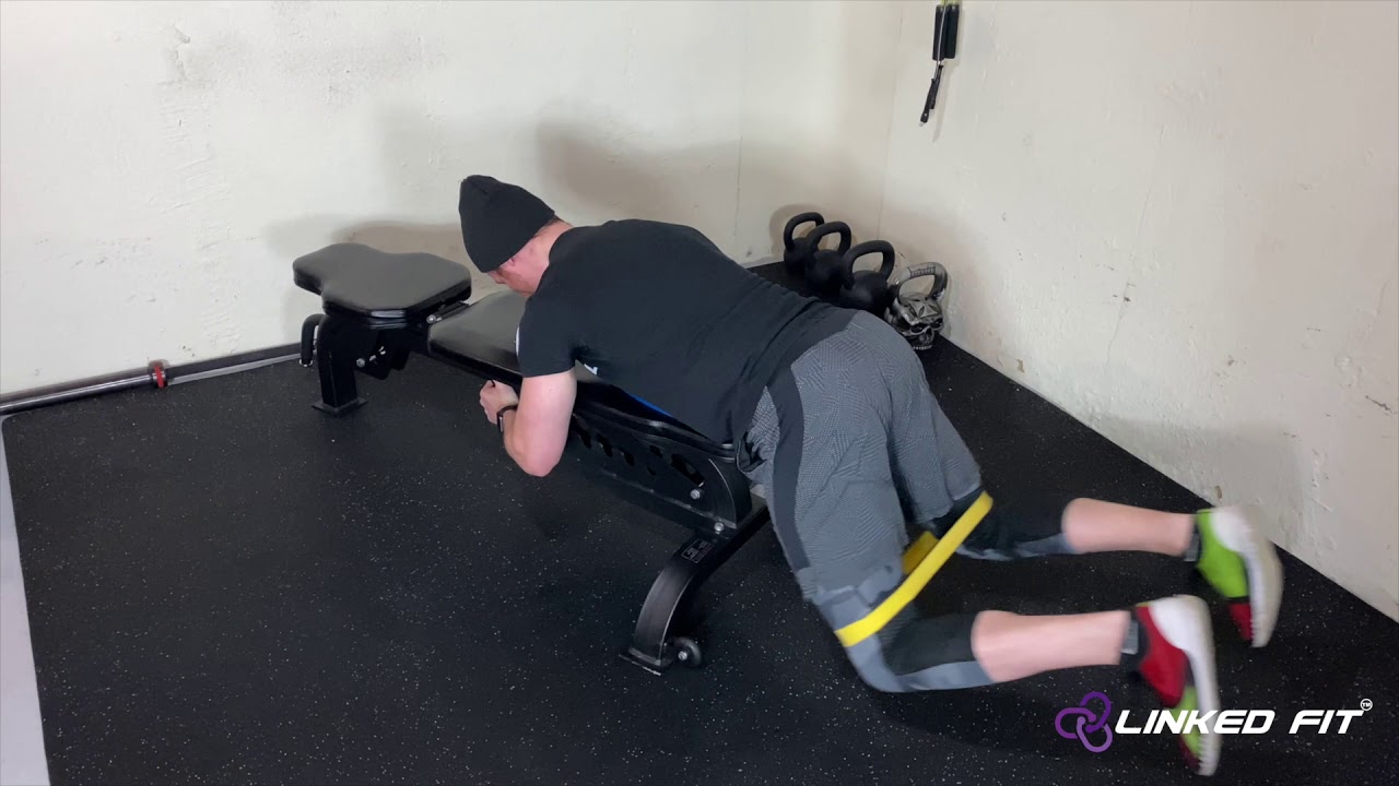 Movement: Bench Reverse Hyper w/ Miniband at Knees