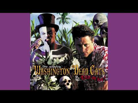 |Washington Dead Cats| Crazy When I Hear That Beat