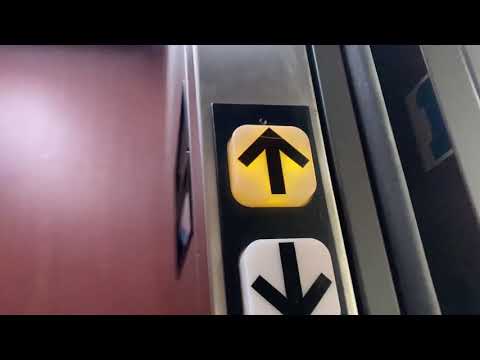 537. Dover Impulse Hydraulic Elevator at Preston Fairways 1 - Cary, NC