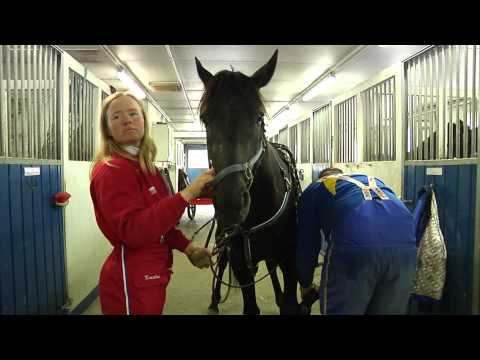 Talentene - Kristine Kvasnes