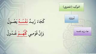 صورة شرح نظم الآجرومية مع التشجير //89//الشيخ محمد محمود الشنقيطي
