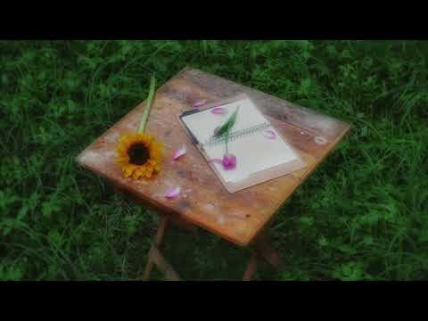 Mirasol - Azul