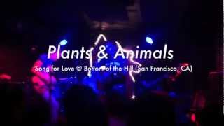 Plants &amp; Animals - Song for Love (5/18/12)