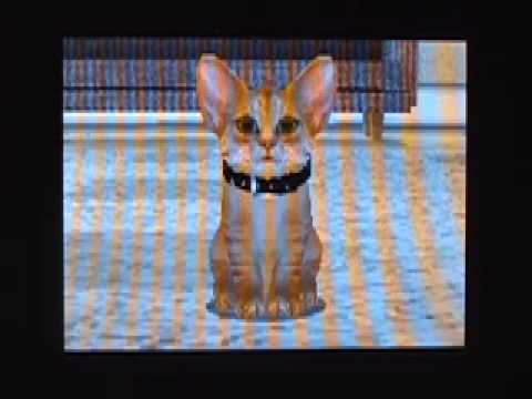 Purr Pals II Wii