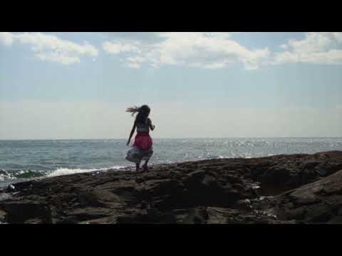 Brief Wings of Summer -- Diane Jarvi