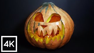 Jack-o'-lantern Time Lapse - Halloween Special - 4K Macro