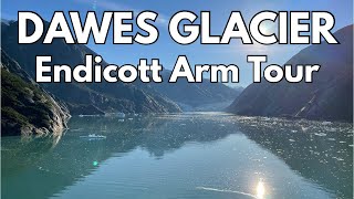 Dawes Glacier and Endicott Arm Tour in Alaska | Raw Footage | Discovery Princess Cruise