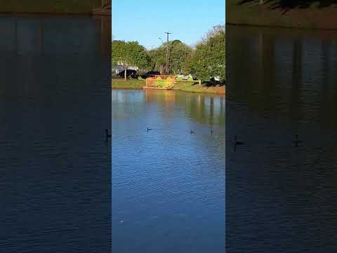 LAGO LARANJEIRAS DO SUL PR