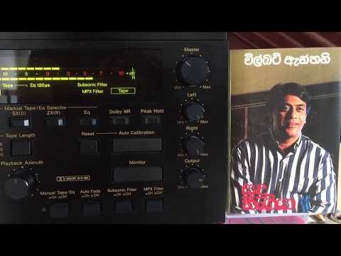 Wilbert Anthony: Nohadan Miyulesiye