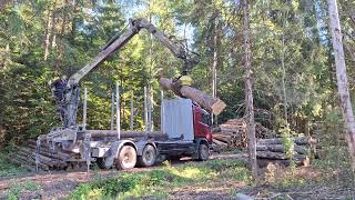 Nákladné auto na prepravu dreva Scania R 480 na predaj - Obraz 5 | Autoline SK Nákladné auto na prepravu dreva Scania R 480 | Obraz 5 - Autoline
