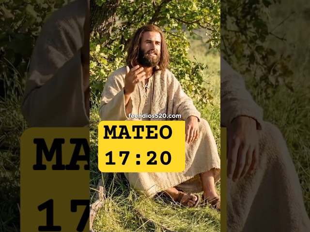 Vídeo relacionado con Vivaday Collar Verde Luminoso Glow-in-the-Dark Collar Semilla de Mostaza Fe Puede Mover Montañas Mateo 17:20 Collares para Cristianos Joyería Versículo Bíblico Afirmación para Protección