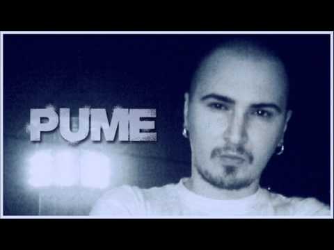 PUME - VERS [2007]