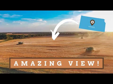 The Most Beautiful Farming Video! (Wheat Harvest 2020 Part 4)