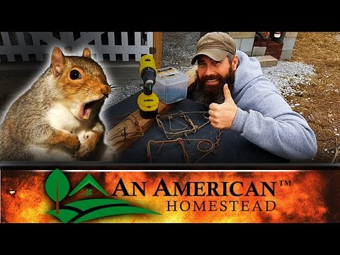 How To Kill A Bazillion Squirrels (Probably Illegal)