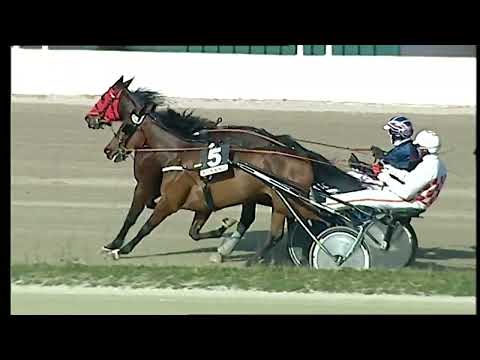 Napoli Trotto 20/02/2022 - 2ª corsa