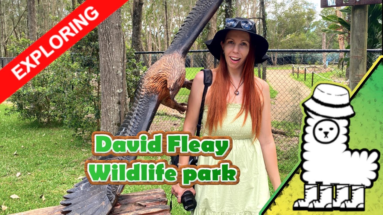 Explore David Fleay Wildlife Park through the lens of traveler.