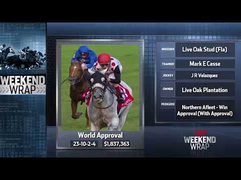 Weekend Wrap - Woodbine Mile Stakes 2017
