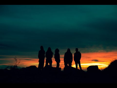 Orange Viper - Flying High