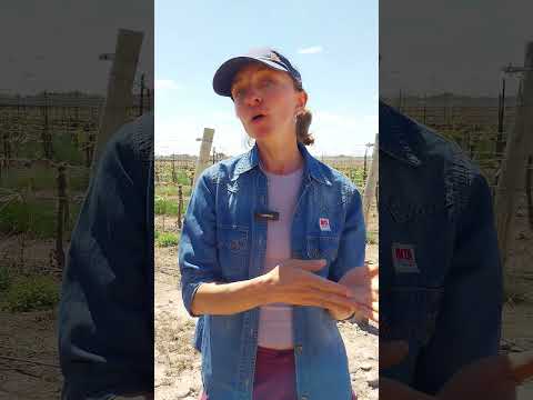 INTA Junín en Seminario de Manejo Hídrico