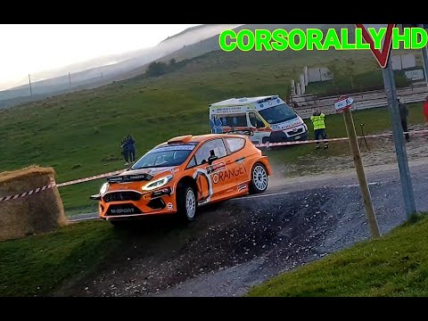 37° Rally Due Valli 2019 - C.I.R. Show and Mistake