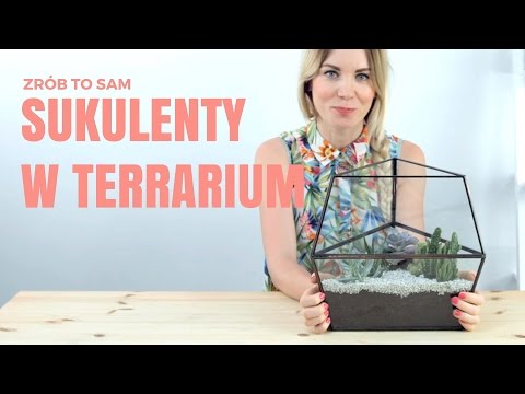 Jak zrobić dekorację z sukulentów? #SUKULENTY #TERRARIUM