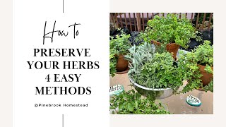 4 methods to preserve fresh herbs for your kitchen
