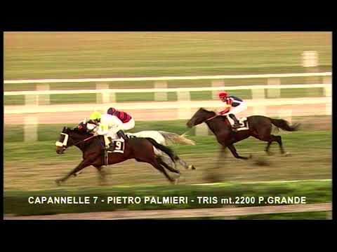 rm 20221127 07 p pietropalmieritris