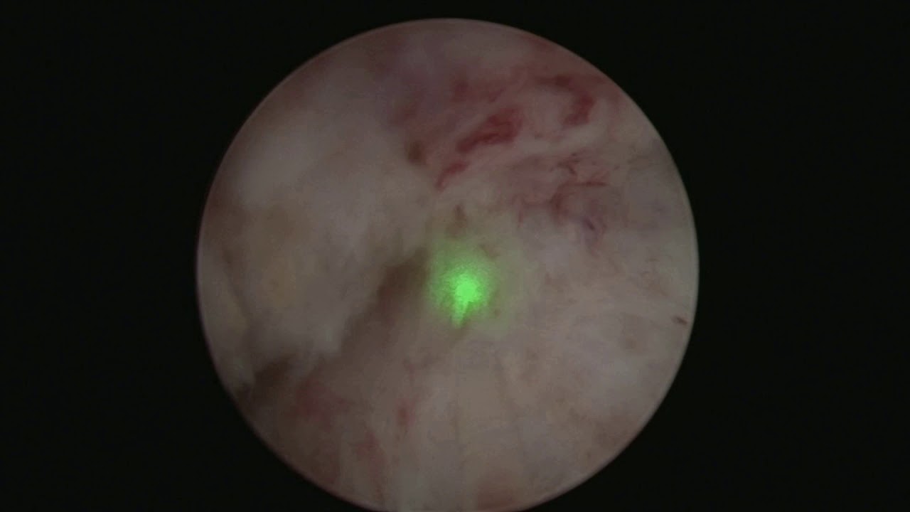 Francesco Chiaradia-10