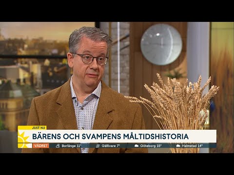 Bra bärår i år – här är bären och svampens måltidshistoria - Nyhetsmorgon (TV4)