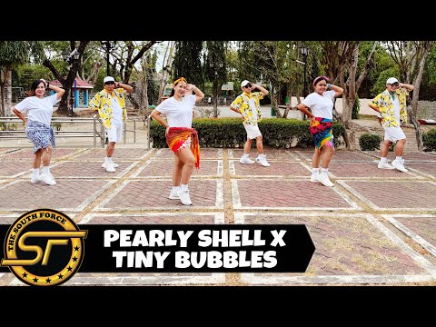PEARLY SHELL X TINY BUBBLES ( Dj Renz John Remix ) - Retro | Dance Fitness | The South Force