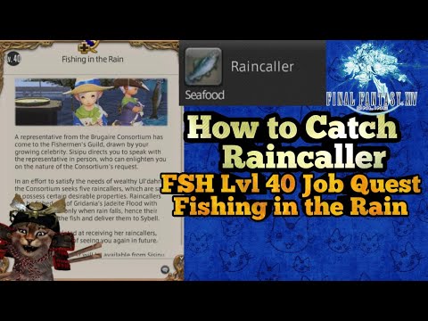 How to Catch Raincaller for FSH Job lvl 40 Job Quest Fishing in the Rain at Jadeite Flood