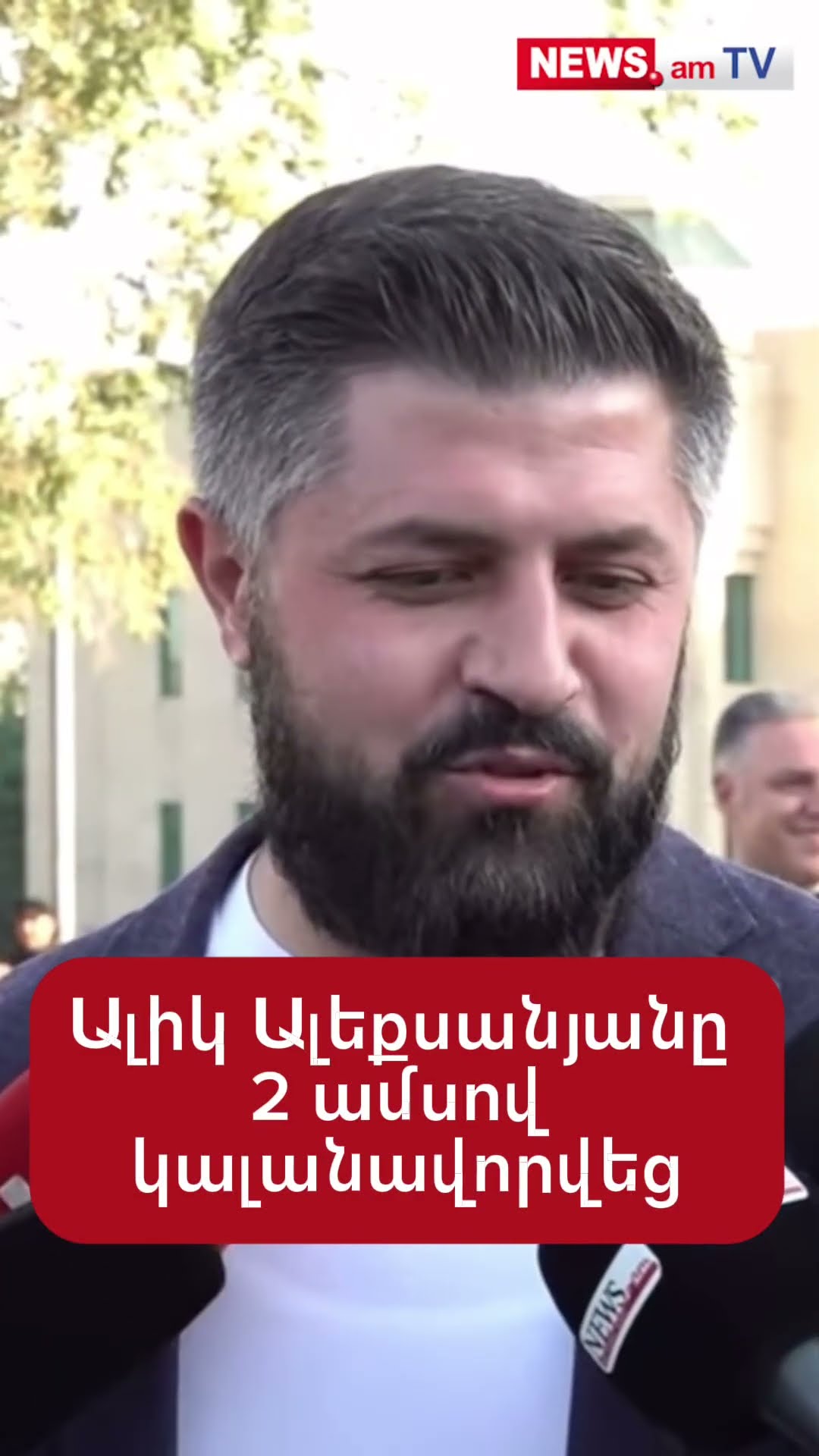 Ալիկ Ալեքսանյանը 2 ամսով կալանավորվեց