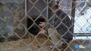 Heartbroken couple forced to give up pet of 33 years