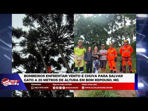 Bombeiros enfrentam vento e chuva para salvar gato a 20 metros de altura em Bom Repouso, MG