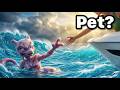 I Saved A Mewtwo Pokémon In Real Life