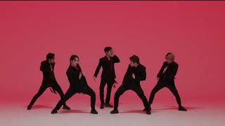 A.C.E - GOLDEN GOOSE [Dance Mirrored]