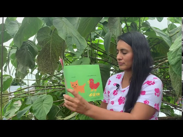 Vídeo relacionado con LA GALLINITA ROJA (Álbumes ilustrados)