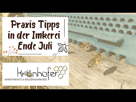 12.Praxis 4 Wo nach Entweiselung Hauptvolk: Abräumen, Altwachs weg, Kö Zeichnen, Varroabehandlung